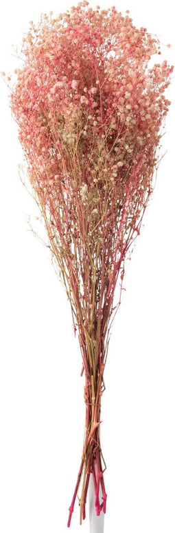 J-Line droogbloemen - Bundel Gypsophilia Gedroogd - riet - roze