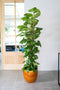 Ter Steege Bloempot Oker Geel D 32 cm H 29 cm Opening 29.5 cm
