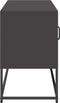 vidaXL - Tv-meubel - 100,5x39x60,5 - cm - staal - zwart