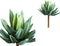 PTMD Succulent Plant Aloe Vera Prikker - 18 x 12 x 22 cm - Groen/Grijs