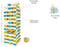 BS Toys Grote Toren - Stapeltoren met Dobbelsteen - Balanstoren voor Buiten - Hout Multicolour (60 stuks)