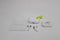 Apple AirPods Pro 3 - Draadloze oordopjes - ANC - Wit