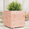 vidaXL - Plantenbak - 70x70x72 - cm - massief - douglashout