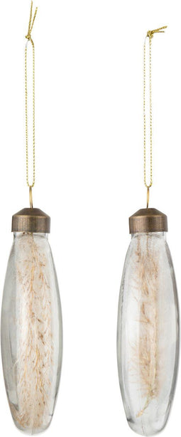 J-Line kerstbal Gedroogde Pampas - glas - transparant - medium - doos van 4