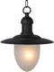 Lucide ARUBA - Hanglamp Binnen/Buiten - Ø 25 cm - Dimbaar - Zwart