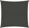 vidaXL - Zonnezeil - 160 - g/m² - 7x7 - m - HDPE - antracietkleurig