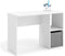 TAKO - Bureautafel - met opberging - 120x55x80cm - wit