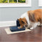 Petsafe Petfeeder Standaard Digitale Tijdklok - 160 ml