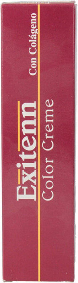 Permanente Kleur Exitenn Color Creme Nº 11/0.092 (60 ml)