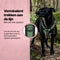 Jake & Jacky - Hondentuigje Y - Anti-Trek - Groen - Maat XS