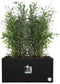 Elho Vivo Next Lang 80 - Plantenbak voor Binnen & Buiten - 100% Gerecycled Plastic - L 78.0 x H 37.9 cm - Living black