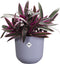 Elho Jazz Rond 26 Bloempot - 100% Gerecycled Plastic - Ø 26 x H 24.2 cm - Lavendel lila