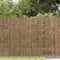 vidaXL - Tuinscherm - 600x100 - cm - riet