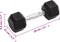 vidaXL - Halters - 2 - st - 10 - kg - gietijzer