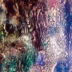 Womb - LP - 1xLP+1xCD - Ondoorzichtig vinyl