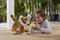 FurReal Brullende Tyler, de Speelse Tijger - Interactieve knuffel