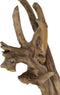 HSM Collection Decoratie Erosi hias - blank - oud hout