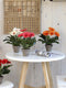 Mica Decorations Gerbera Kunstplant in Bloempot Stan - H35 x Ø30 cm - Oranje