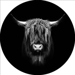 Glasschilderij Buffel - Glasschilderij dieren - Glasschilderij zwart wit 80 x 80 cm