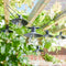Solar tuinverlichting Lichtsnoer All Year Round - Vivo Fisherman - 8 Hanglampjes