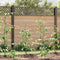 vidaXL - Spiraal - Plant - Steunen - 50 - stuks - 110 - cm - Staal