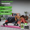 Tunturi Dumbbell Set - Halterset - 1 t/m 3kg - Inclusief opbergrek en gratis fitness app (3 paar)
