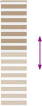 vidaXL - Zebra - Blind - 55x230 - cm - stofbreedte - 50,9 - cm - polyester - zandbruin