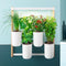 Prêt à Pousser Modulo 2 (incl. 4 pods)