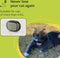 Kippy Evo GPS & Activity tracker voor honden en katten - BRUINE kleur