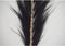 Decoratieve veer - 65x2x175 - Zwart/naturel - Bamboe