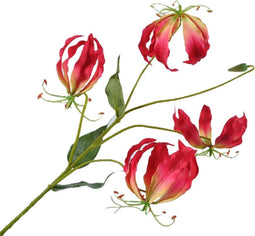 Silk-ka Kunstbloem-Zijden Bloem Gloriosa Steel Beauty 86 cm