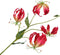 Silk-ka Kunstbloem-Zijden Bloem Gloriosa Steel Beauty 86 cm