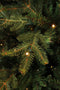 Black Box Trees Frasier Kunstkerstboom met LED verlichting - H230 cm - groen