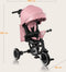 Lionelo Tris Plus - Driewieler 2-in-1 - Geschikt van 9 maanden tot 5 jaar - Pink Rose