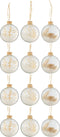 J-Line kerstbal Gedroogde Takjes - glas - beige/transparant - doos van 12