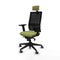 Piqueras y Crespo 2D066G2 - Bureaustoel - Hoofdsteun en armleuning - Groen