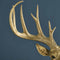 Wandlamp - Dierenlamp Gouden Hert XL