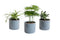 Mini Green | Bijzonder Trio in Laos keramiek (blauwgrijs) ↨ 15cm - 3 stuks - hoge kwaliteit planten