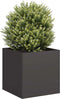 vidaXL - Plantenbak - 40x40x40 - cm - koudgewalst - staal - zwart