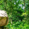 Customize it - Tuinschilderij prehistorie 130x70cm
