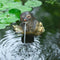Ubbink - Drijvende otter - Spuitfiguur - waterornament - vijverdecoratie