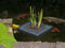Ubbink - Drijvende plantentas vierkant 40x40cm geschikt voor waterplantmand 25x25x25cm