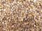 Ubbink - Gritfolie - Naturel - Classic - 1,5 x 0,60m