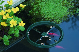 Ubbink Voerring fish Diner Visvoederring 2 stuks