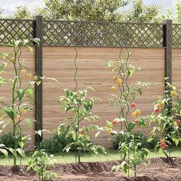 vidaXL - Spiraal - Plant - Steunen - 5 - stuks - 170 - cm - Staal