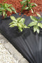 Nature - Grondbedekkingsvlies - 1 x 10m - 120g/m² - zwart