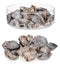 Decoratieve Bloemen Natuurlijk (12 Stuks)