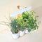 Prêt à Pousser Lilo Connect (incl. 3 pods)