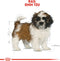 Royal Canin Shih Tzu Junior 1.5 KG