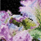 Thea Gouverneur - Borduurpakket met telpatroon - 494A - Voorgesorteerde DMC Garens - Tulp - Aida - 15 cm x 14 cm - DIY Kit